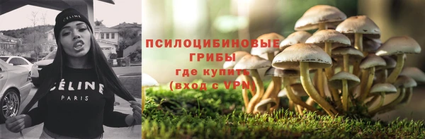 стаф Абдулино