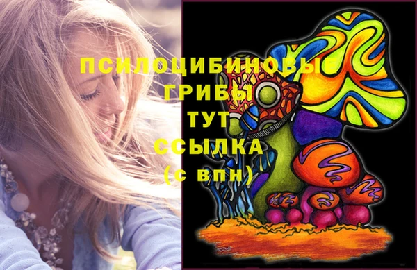 дживик Семикаракорск